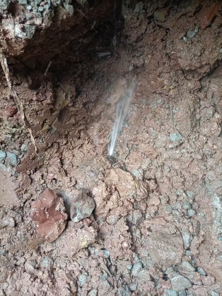 宣恩县本地服务：自来水管漏水检测维修